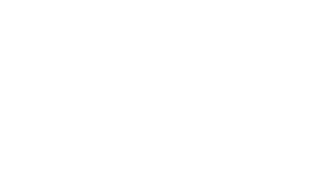 Sora 2.0